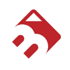 Brighi Group